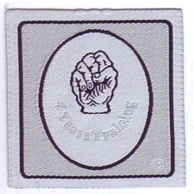 4 Years Training Badge